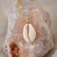 Creamy white natural Cowrie shell set onto a 14k gold filled chain.