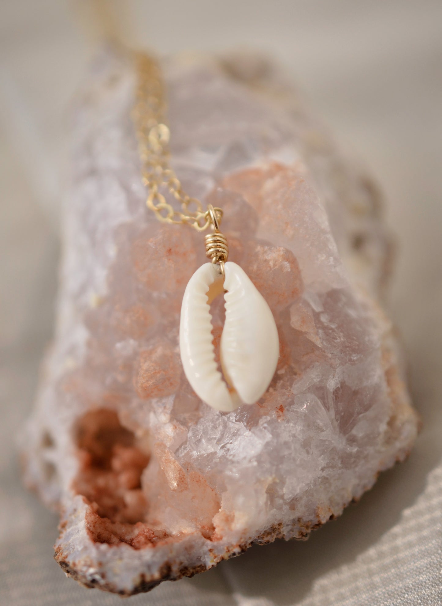 Creamy white natural Cowrie shell set onto a 14k gold filled chain.