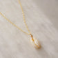 Single cowrie shell suspended from a 14k gold filled chain necklace.